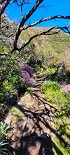 Plants: image 21 Of 208 Thumb